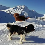 Damuelser Holzhus *