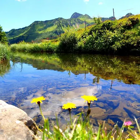 Damülser Holzhus Lejlighed *