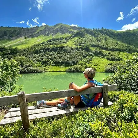 Damülser Holzhus Lejlighed *