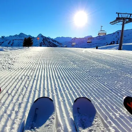 Damülser Holzhus Lejlighed Damüls