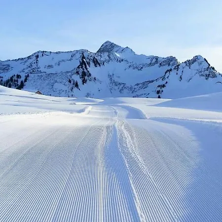 Damülser Holzhus Lejlighed Damüls