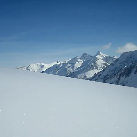 Lejlighed Damülser Holzhus *