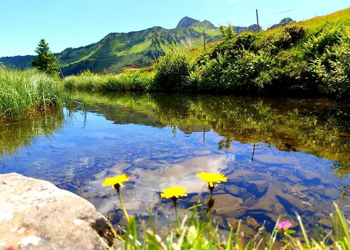 Damuelser Holzhus Apartment *