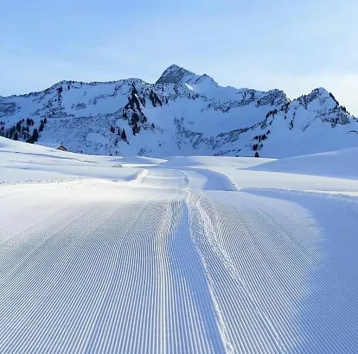 Damuelser Holzhus Apartment Damuels