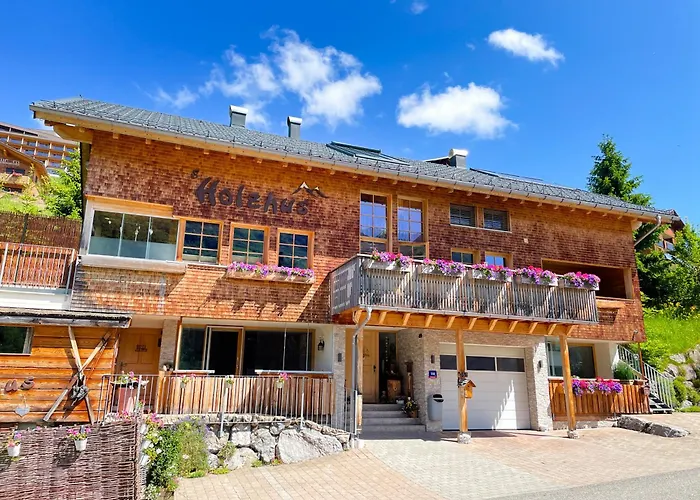 Damuelser Holzhus Apartment Damuels